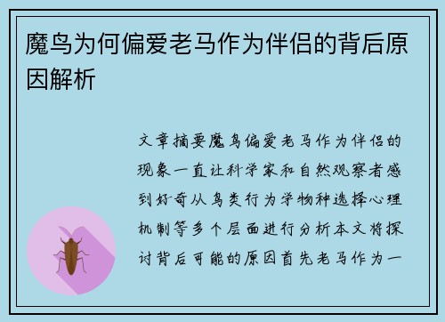 魔鸟为何偏爱老马作为伴侣的背后原因解析